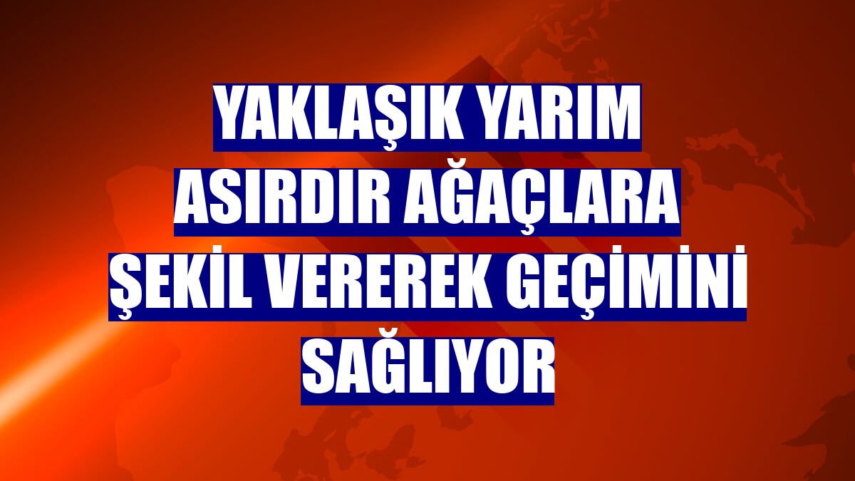 Yaklaşık yarım asırdır ağaçlara şekil vererek geçimini sağlıyor