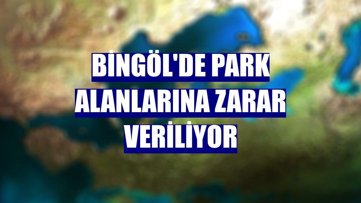 Bingöl'de park alanlarına zarar veriliyor