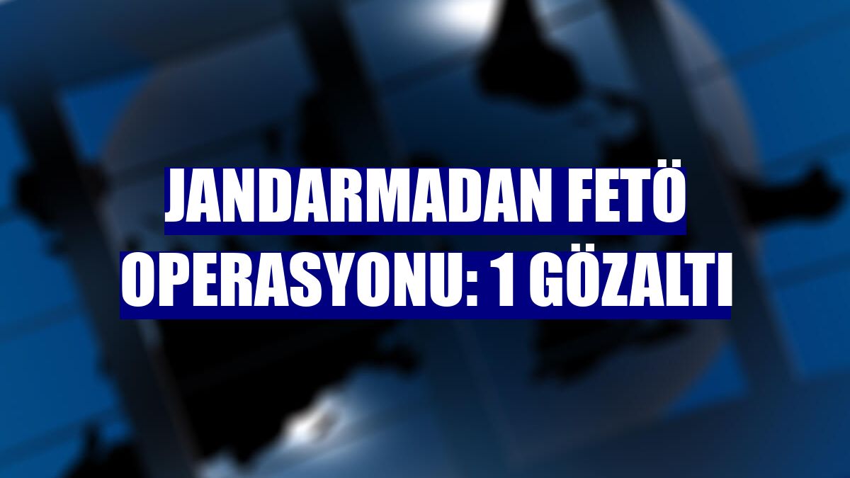 Jandarmadan FETÖ operasyonu: 1 gözaltı