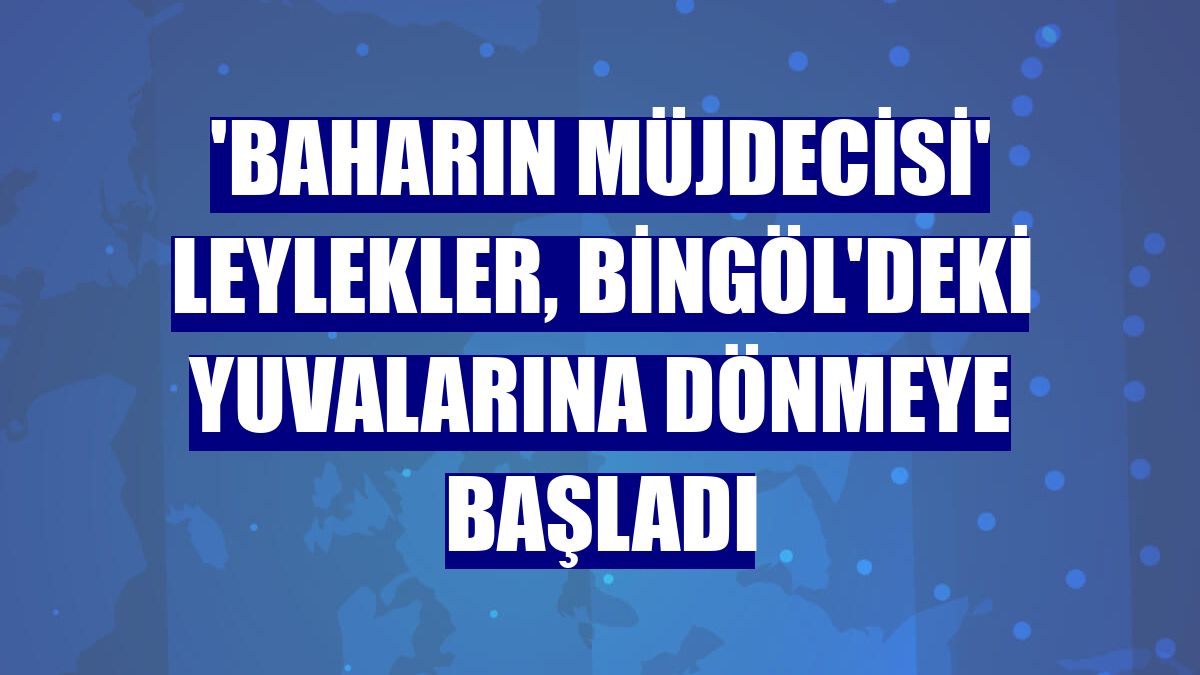 'Baharın müjdecisi' leylekler, Bingöl'deki yuvalarına dönmeye başladı