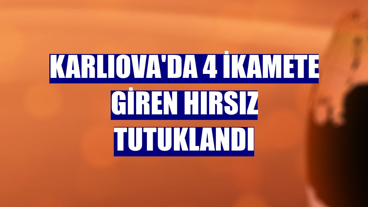 Karlıova'da 4 ikamete giren hırsız tutuklandı