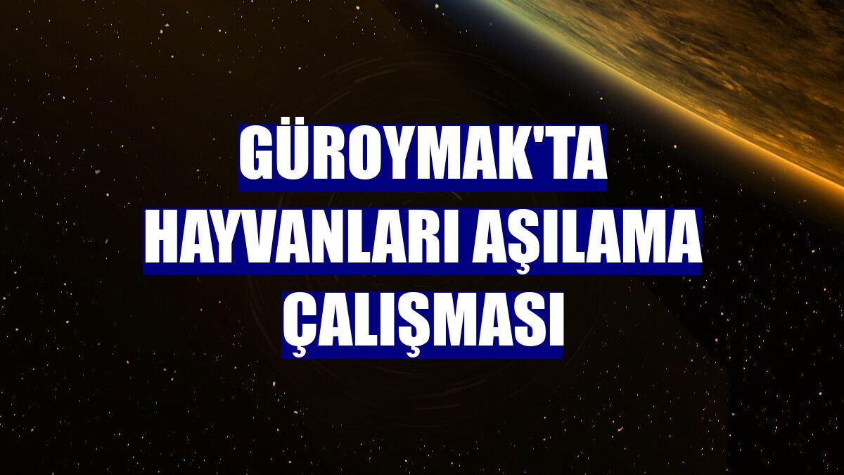 Güroymak'ta hayvanları aşılama çalışması