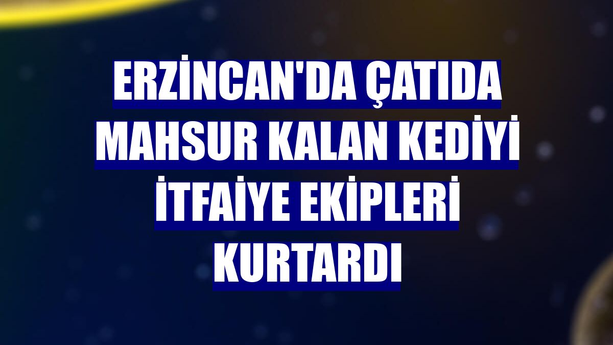 Erzincan'da çatıda mahsur kalan kediyi itfaiye ekipleri kurtardı