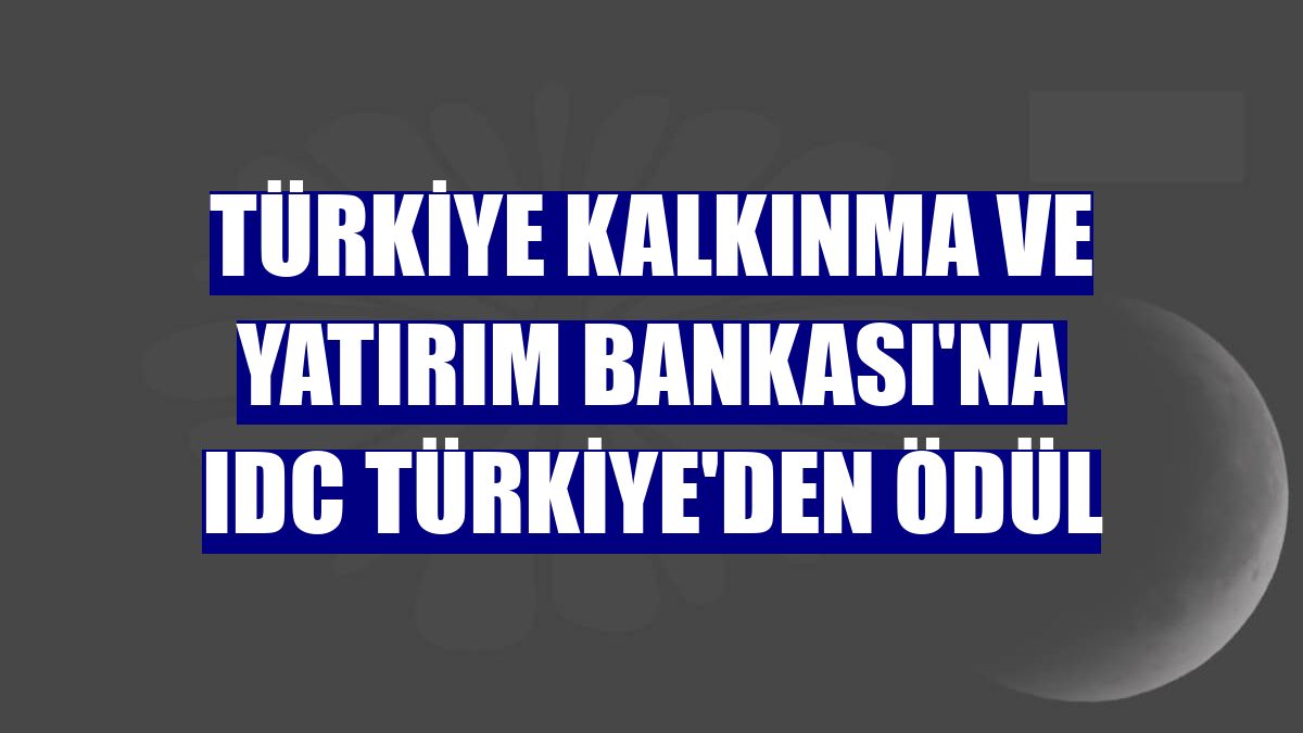 Türkiye Kalkınma ve Yatırım Bankası'na IDC Türkiye'den ödül