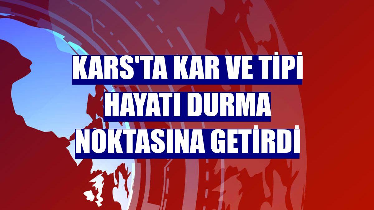 Kars'ta kar ve tipi hayatı durma noktasına getirdi