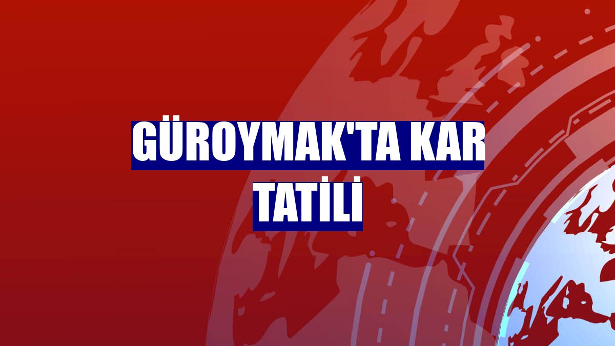 Güroymak'ta kar tatili