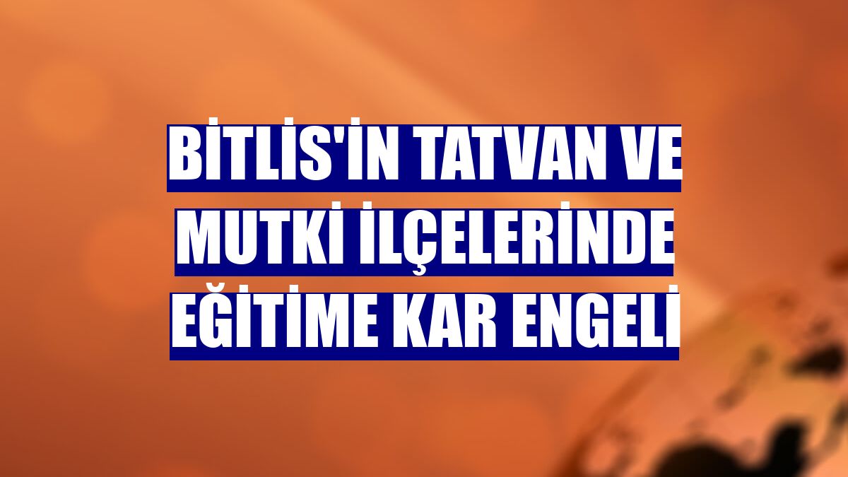 Bitlis'in Tatvan ve Mutki ilçelerinde eğitime kar engeli