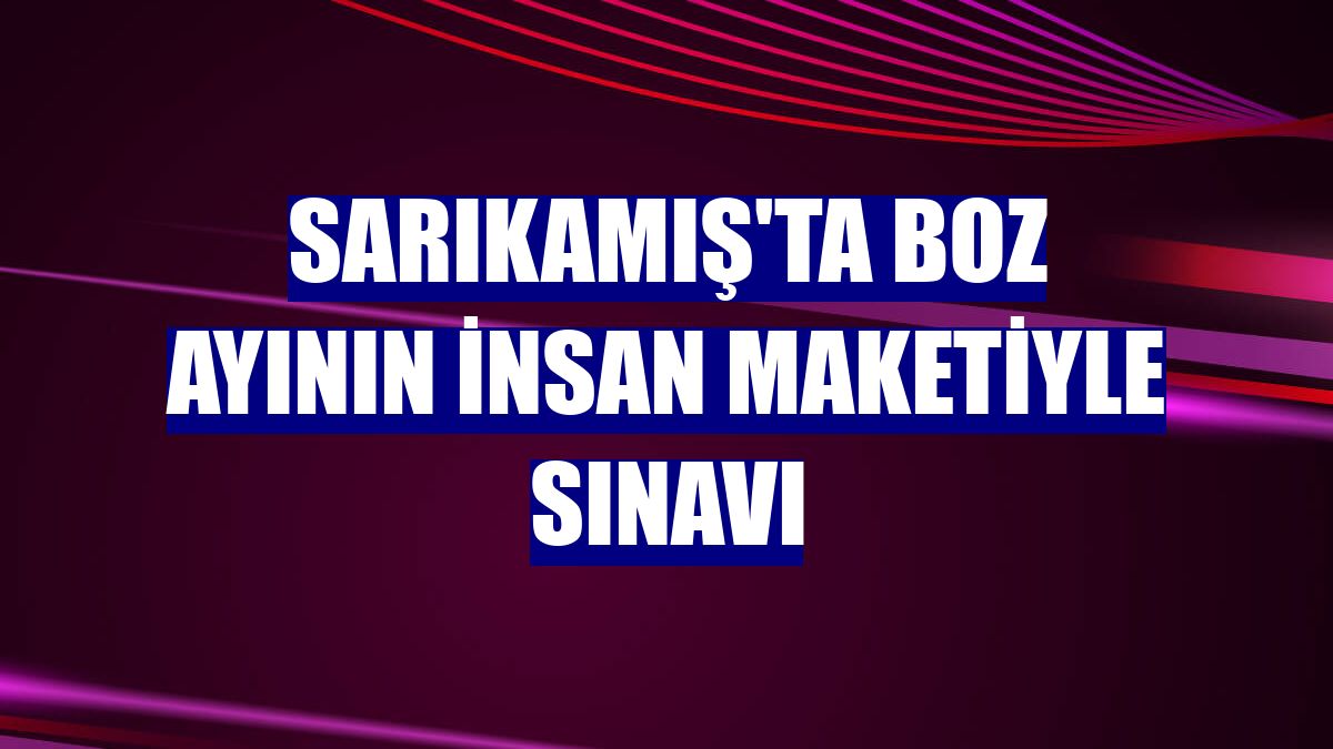 Sarıkamış'ta boz ayının insan maketiyle sınavı