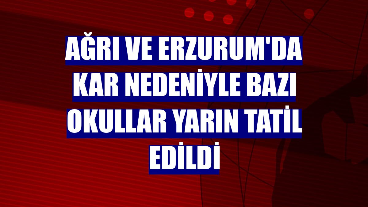 Ağrı ve Erzurum'da kar nedeniyle bazı okullar yarın tatil edildi