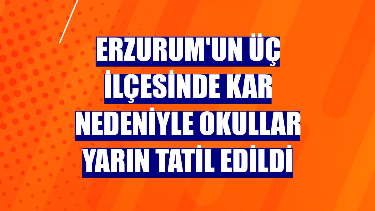 Erzurum'un üç ilçesinde kar nedeniyle okullar yarın tatil edildi