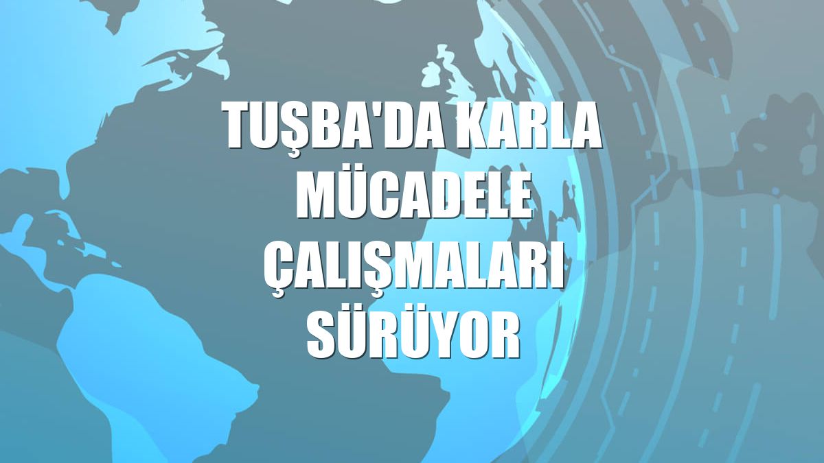 Tuşba'da karla mücadele çalışmaları sürüyor