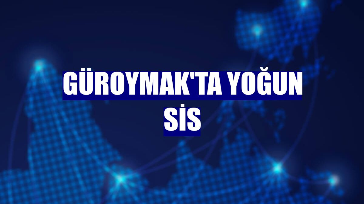 Güroymak'ta yoğun sis