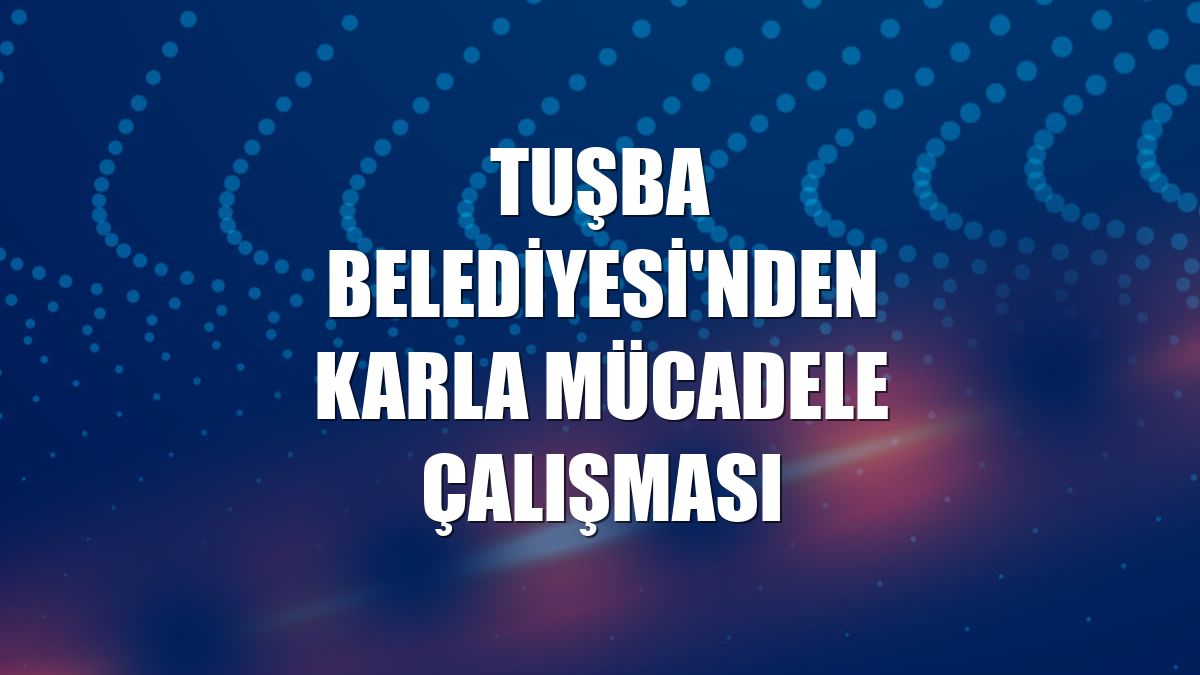 Tuşba Belediyesi'nden karla mücadele çalışması