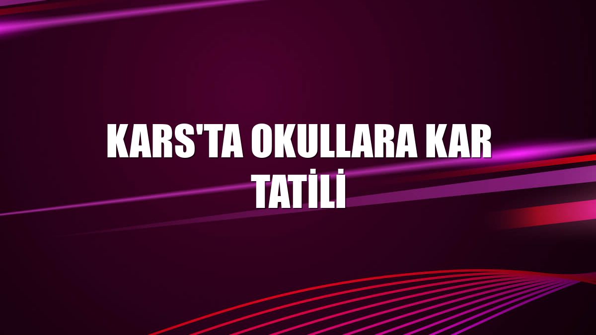 Kars'ta okullara kar tatili