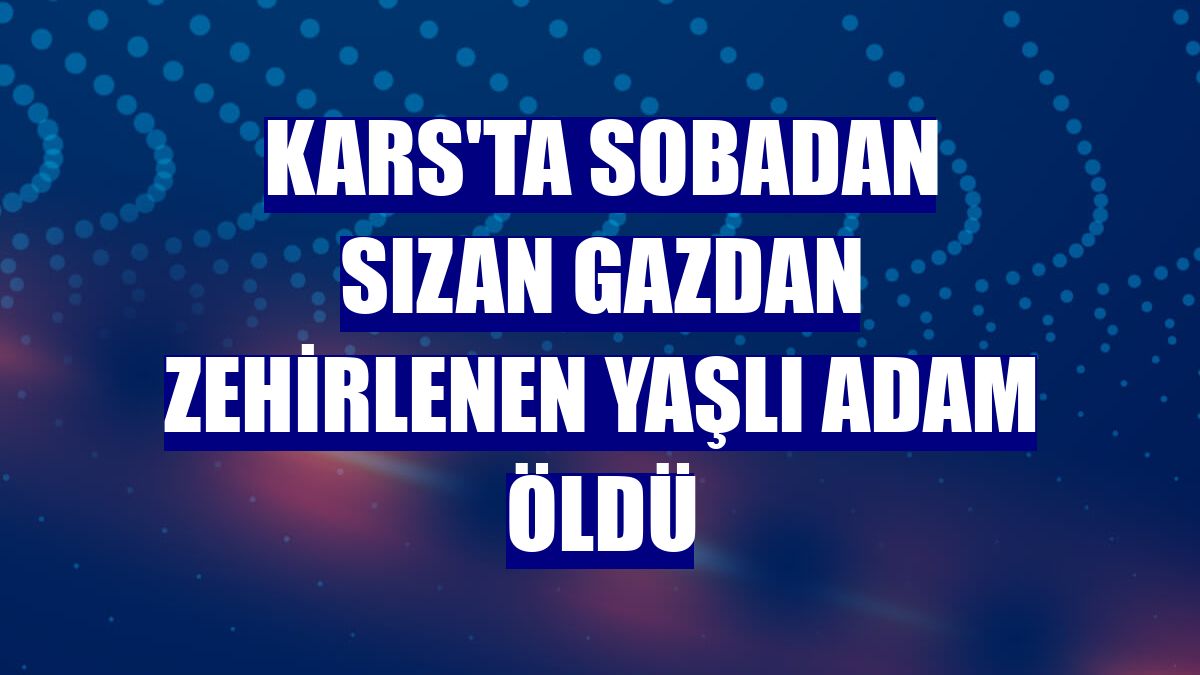 Kars'ta sobadan sızan gazdan zehirlenen yaşlı adam öldü