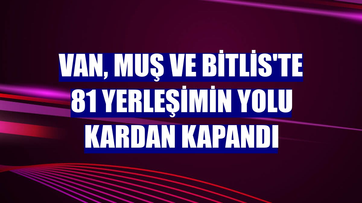 Van, Muş ve Bitlis'te 81 yerleşimin yolu kardan kapandı