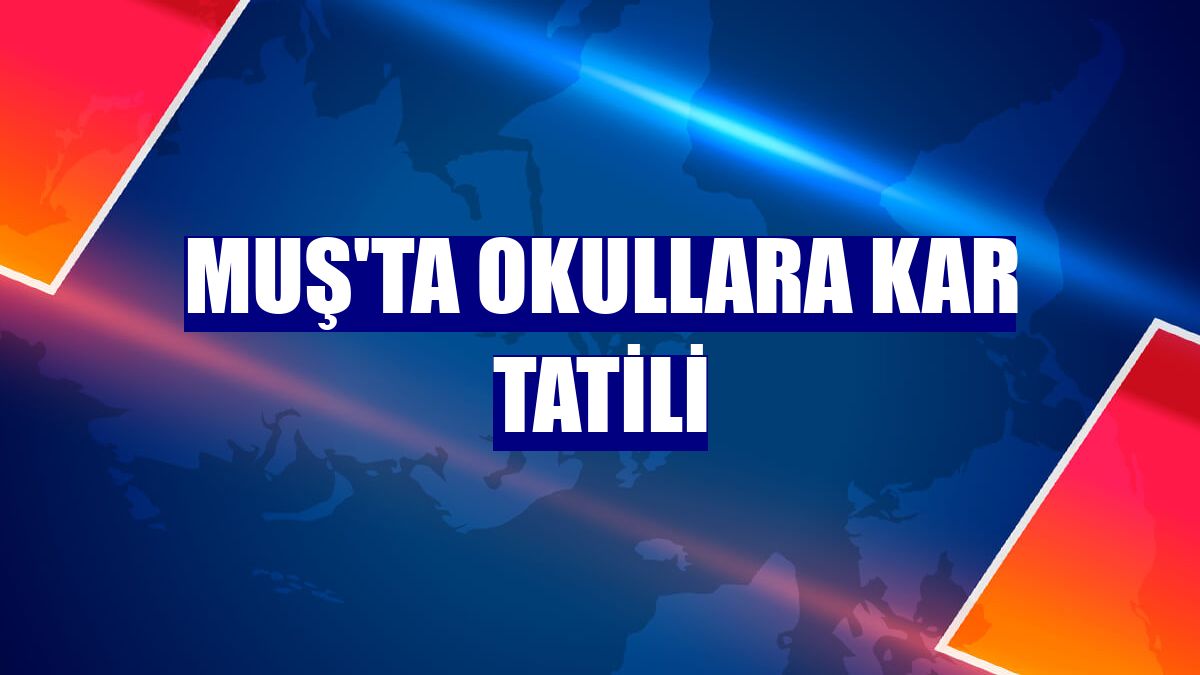 Muş'ta okullara kar tatili