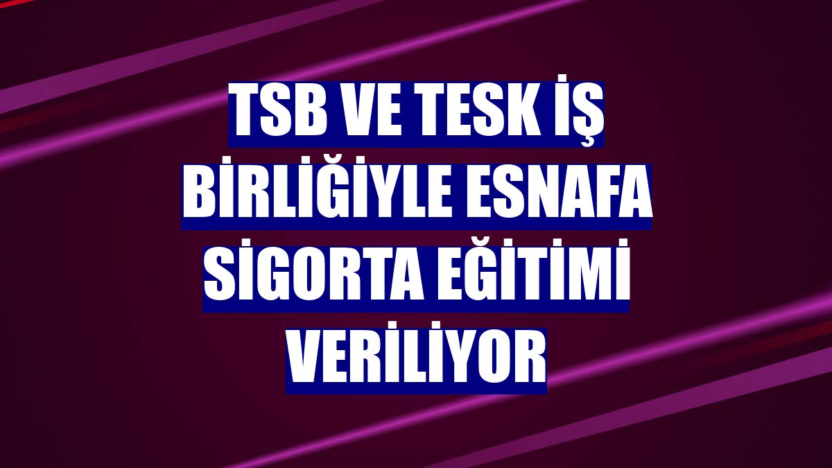TSB ve TESK iş birliğiyle esnafa sigorta eğitimi veriliyor