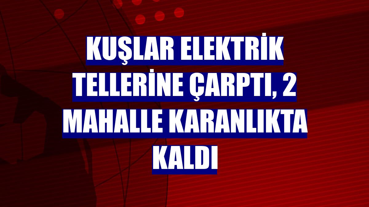 Kuşlar elektrik tellerine çarptı, 2 mahalle karanlıkta kaldı