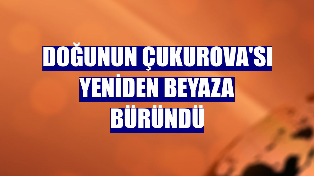 Doğunun Çukurova'sı yeniden beyaza büründü