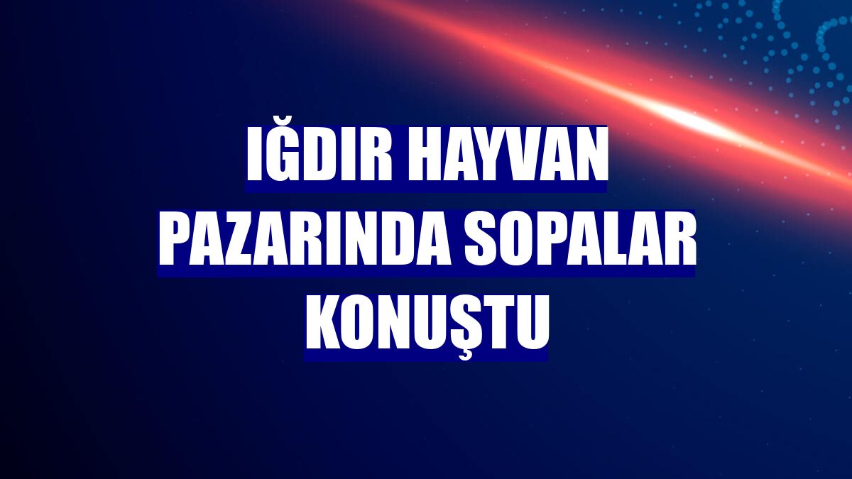 Iğdır hayvan pazarında sopalar konuştu