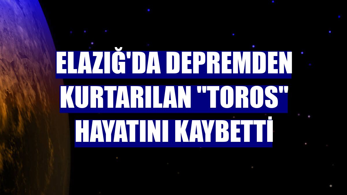 Elazığ'da depremden kurtarılan "Toros" hayatını kaybetti