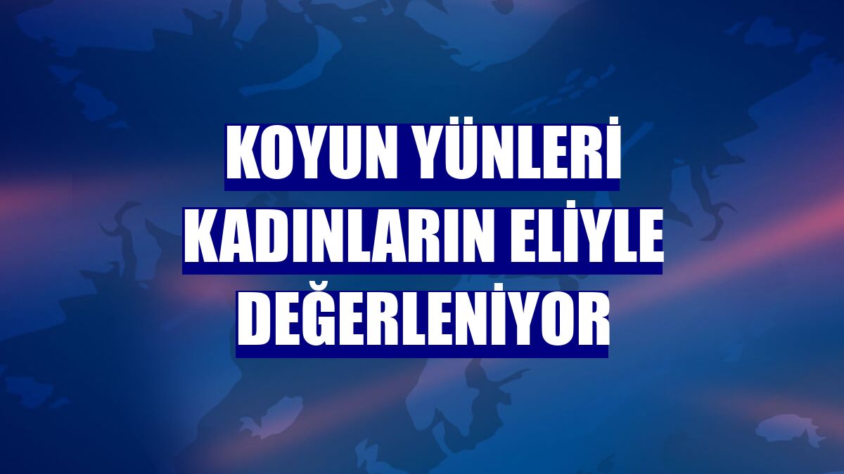 Koyun yünleri kadınların eliyle değerleniyor