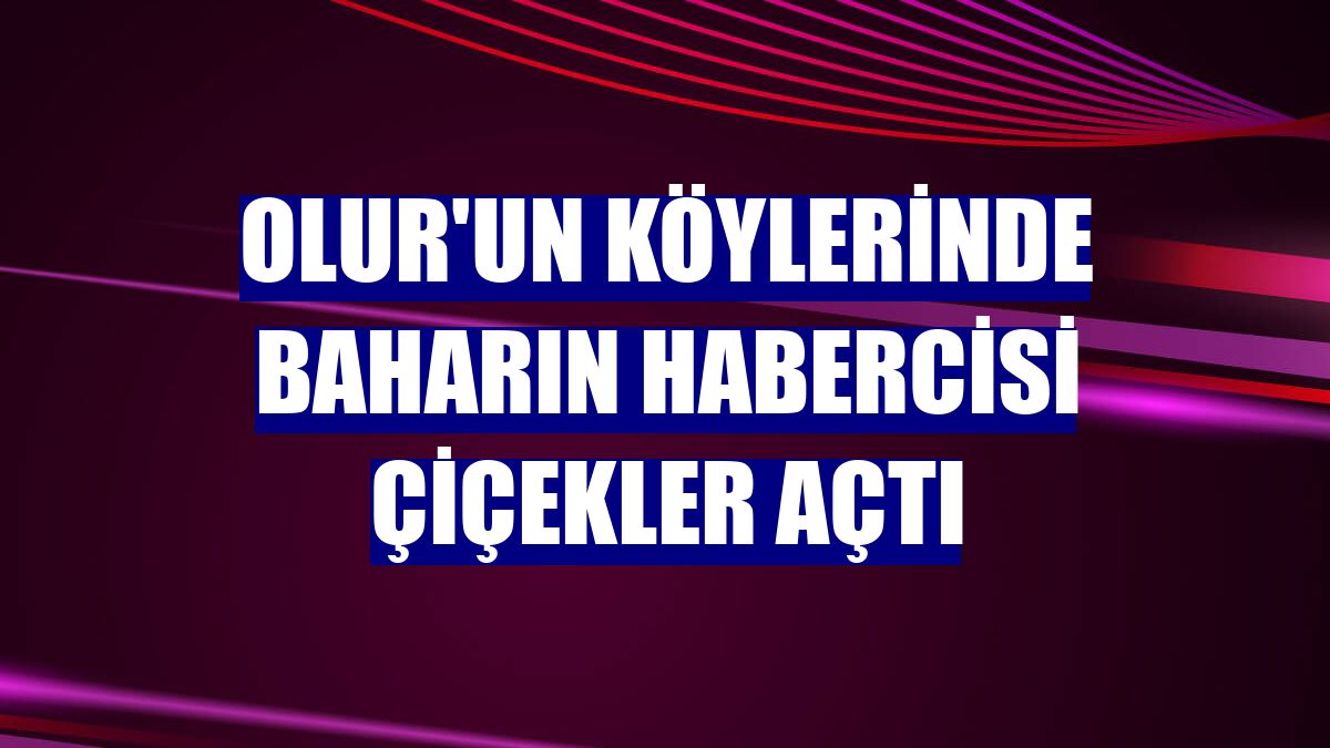 Olur'un köylerinde baharın habercisi çiçekler açtı