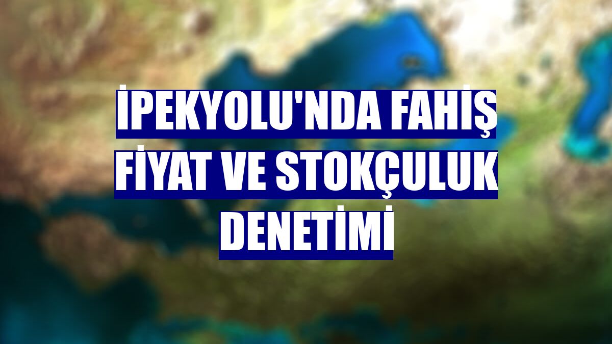 İpekyolu'nda fahiş fiyat ve stokçuluk denetimi