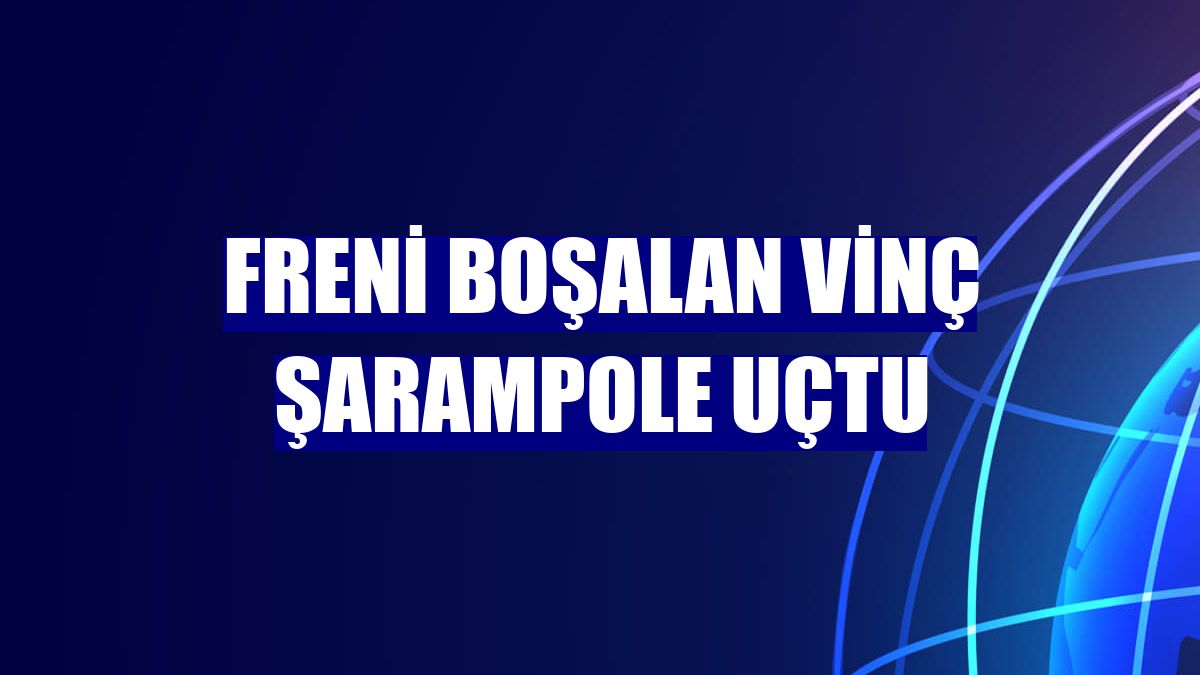 Freni boşalan vinç şarampole uçtu