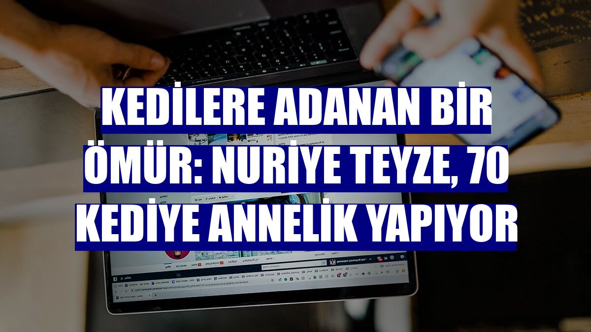 Kedilere adanan bir ömür: Nuriye Teyze, 70 kediye annelik yapıyor