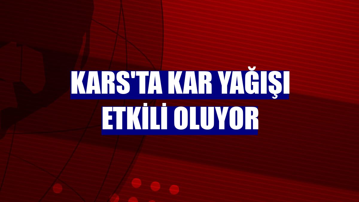 Kars'ta kar yağışı etkili oluyor