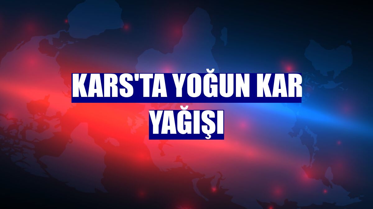 Kars'ta yoğun kar yağışı