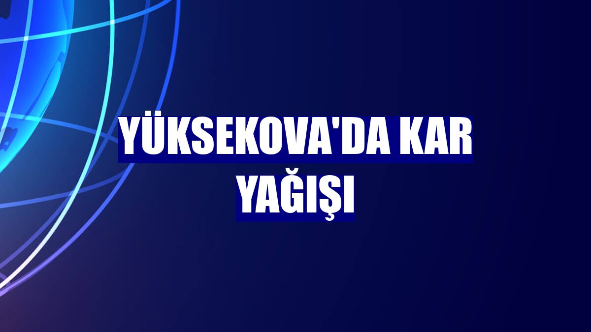 Yüksekova'da kar yağışı