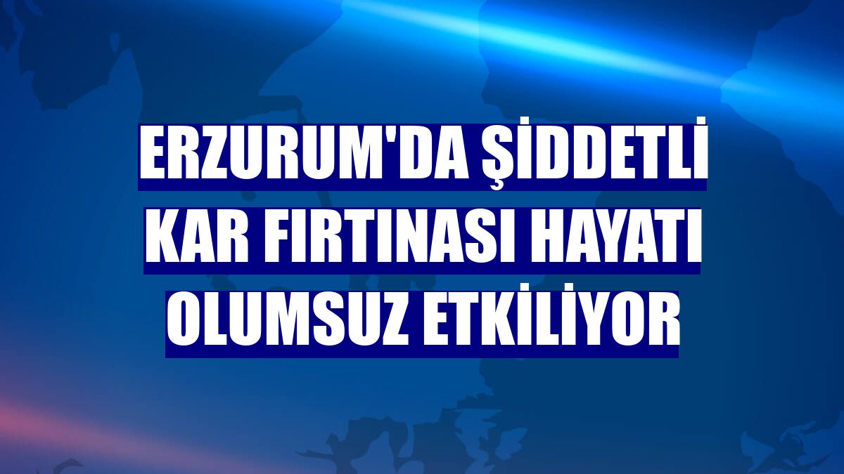 Erzurum'da şiddetli kar fırtınası hayatı olumsuz etkiliyor