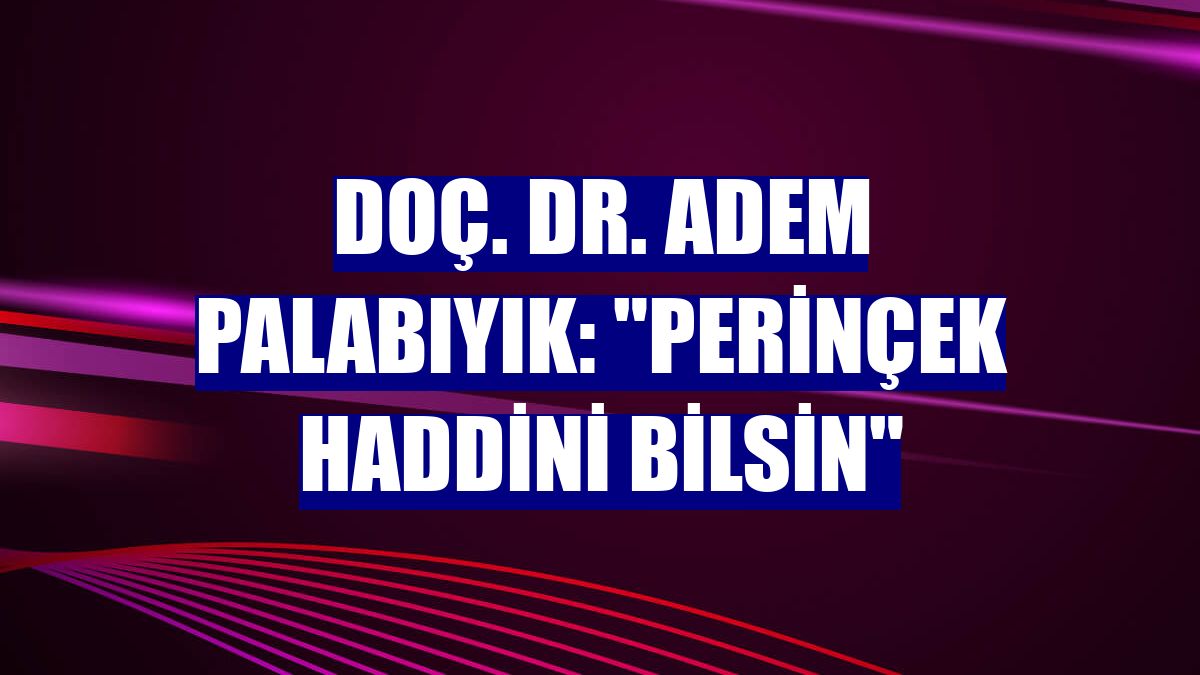 Doç. Dr. Adem Palabıyık: "Perinçek haddini bilsin"