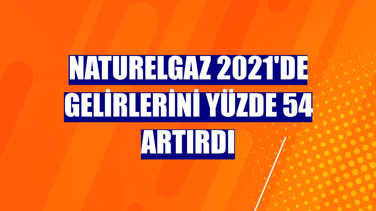 Naturelgaz 2021'de gelirlerini yüzde 54 artırdı