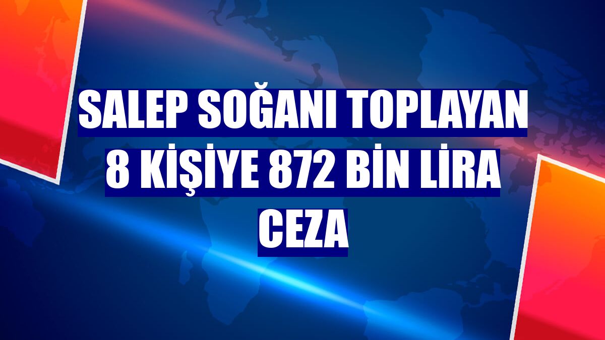 Salep soğanı toplayan 8 kişiye 872 bin lira ceza