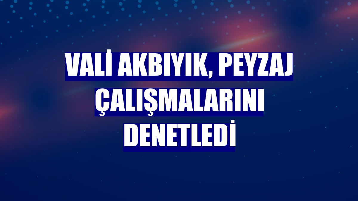Vali Akbıyık, peyzaj çalışmalarını denetledi
