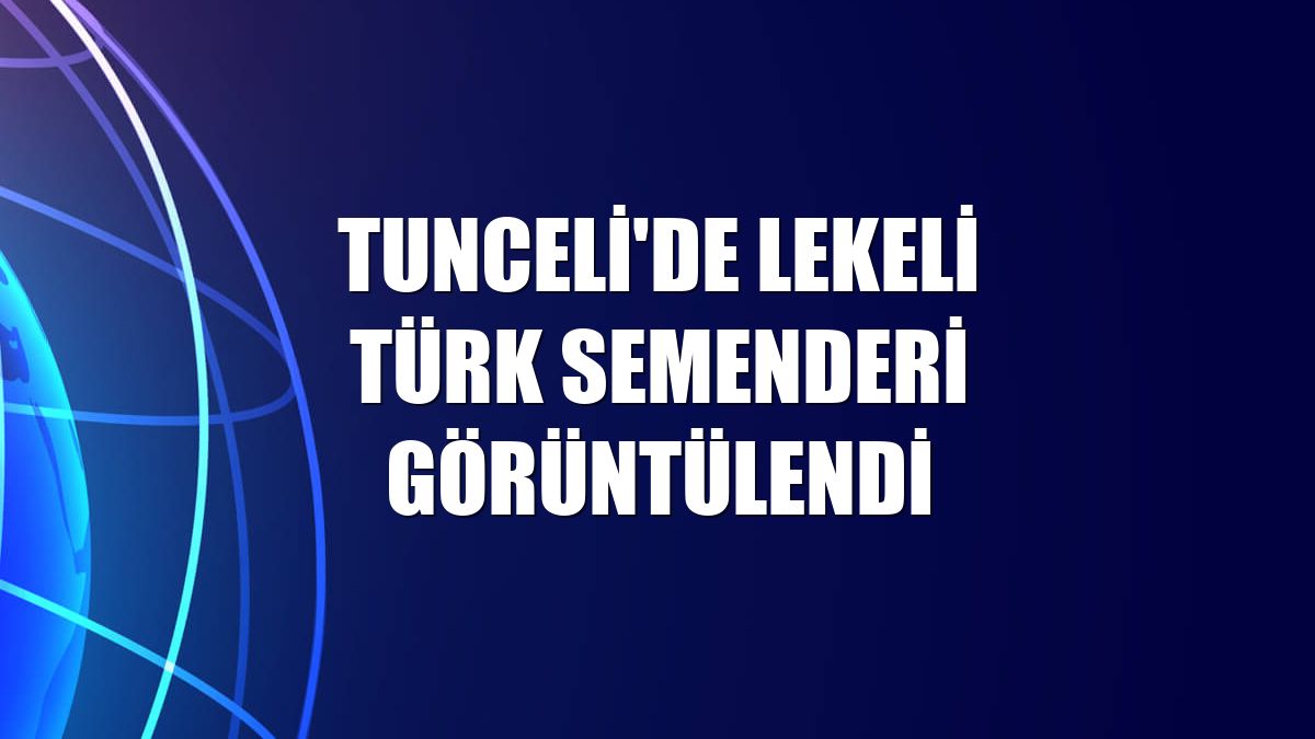 Tunceli'de lekeli Türk semenderi görüntülendi