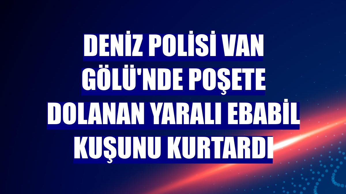 Deniz polisi Van Gölü'nde poşete dolanan yaralı ebabil kuşunu kurtardı