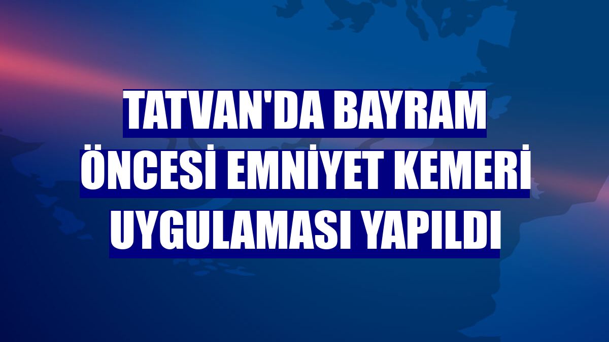 Tatvan'da bayram öncesi emniyet kemeri uygulaması yapıldı