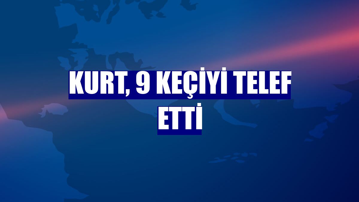 Kurt, 9 keçiyi telef etti