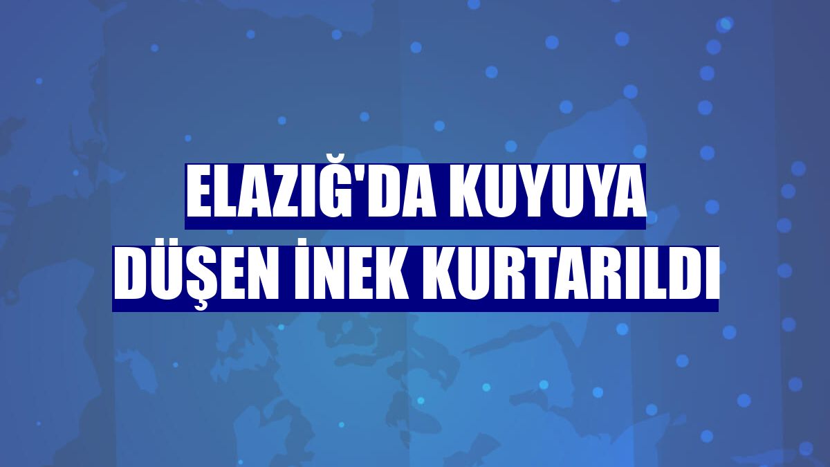Elazığ'da kuyuya düşen inek kurtarıldı