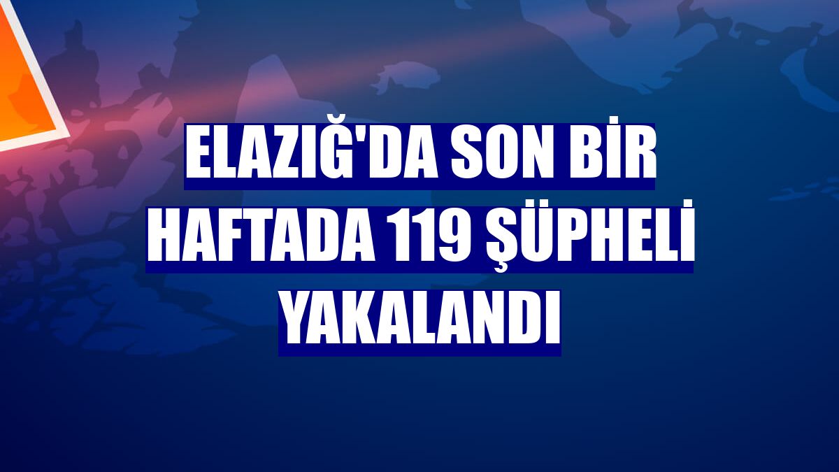 Elazığ'da son bir haftada 119 şüpheli yakalandı