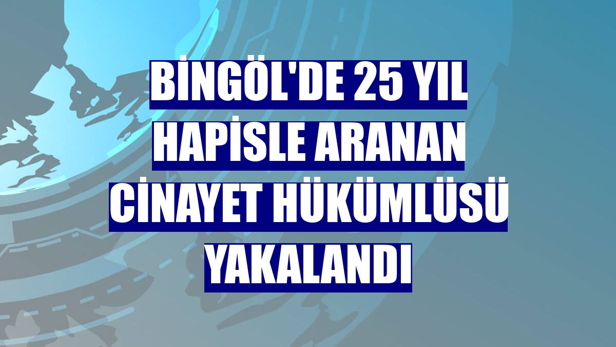 Bingöl'de 25 yıl hapisle aranan cinayet hükümlüsü yakalandı