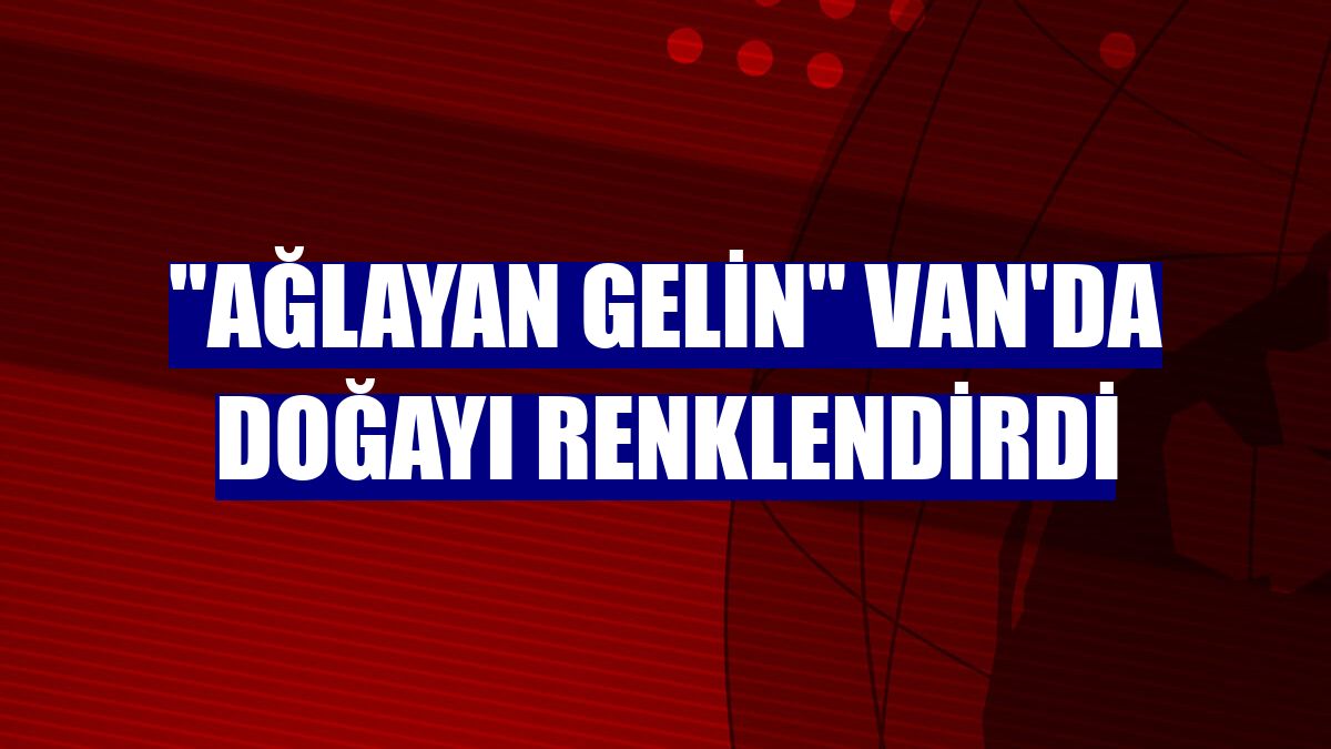"Ağlayan gelin" Van'da doğayı renklendirdi