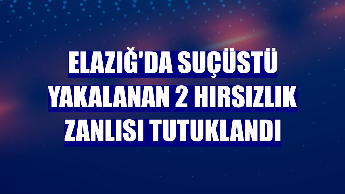 Elazığ'da suçüstü yakalanan 2 hırsızlık zanlısı tutuklandı