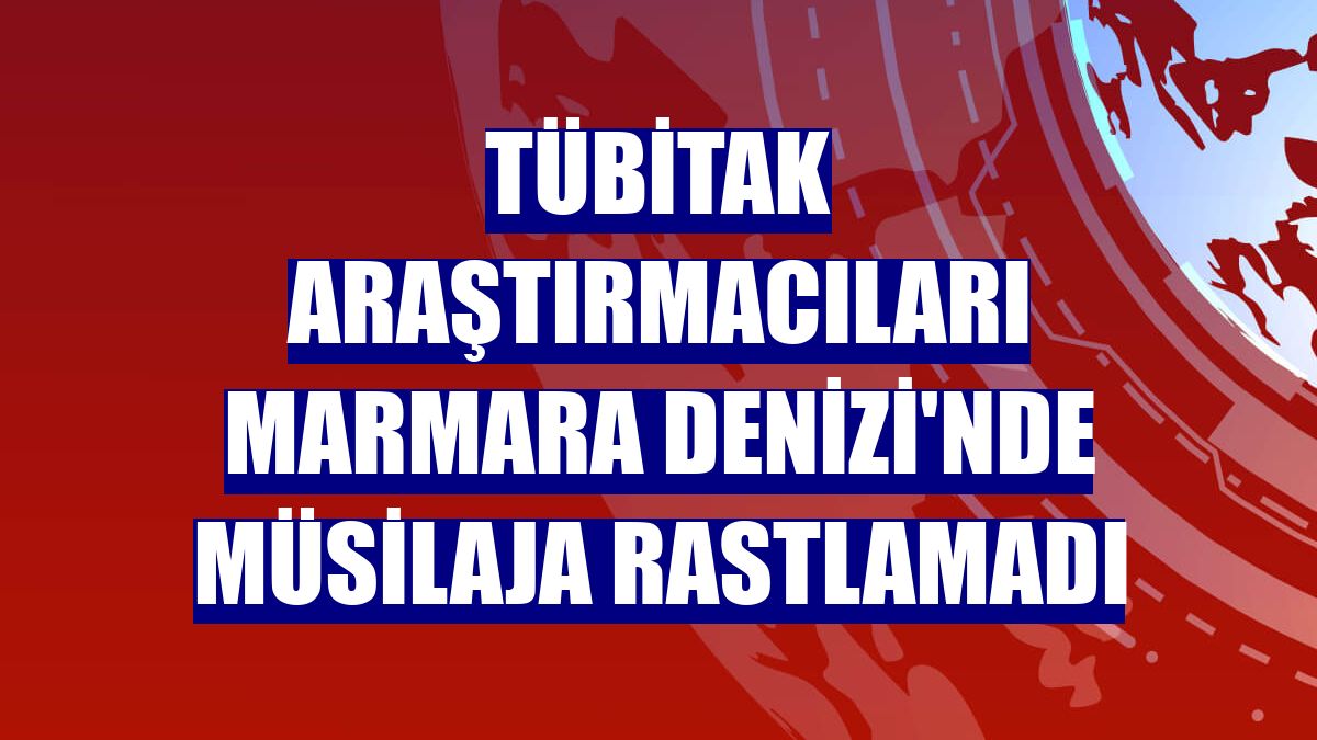 TÜBİTAK araştırmacıları Marmara Denizi'nde müsilaja rastlamadı