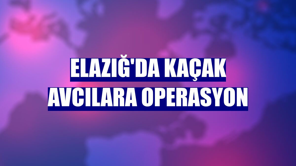 Elazığ'da kaçak avcılara operasyon